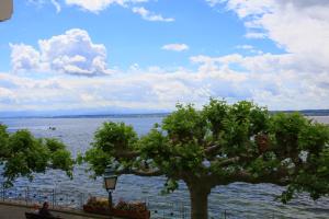 Fotografie z fotogalerie ubytování Alte Molke Apartment 8 v destinaci Meersburg