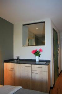 Galeriebild der Unterkunft Alte Molke Apartment 11 in Meersburg + 9 Fotos
