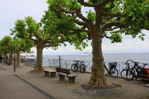 Galeriebild der Unterkunft Alte Molke Apartment 11 in Meersburg