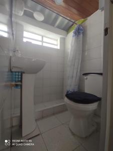 y baño con aseo, lavabo y ducha. en Hogar COLONIAL, en Bogotá