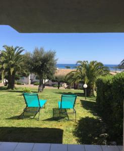 deux chaises bleues dans un champ planté de palmiers dans l'établissement Favone Mini Villa Playa del Oro, à Favone