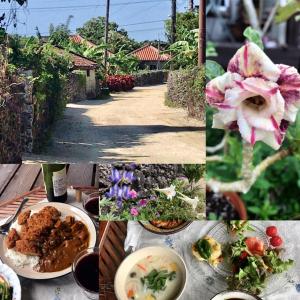 un collage de fotos de comida en una mesa en Travelers House おーさんてぃん青空舎 en Taketomi