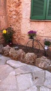 a building with some flowers and plants in front of it at PETIT HOTEL ALGAIDA in Algaida