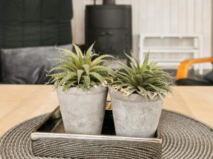 dois vasos de plantas sentados numa bandeja sobre uma mesa em 6 person holiday home in Blokhus em Blokhus
