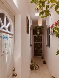 Fotografie z fotogalerie ubytování Casa Universo Holbox v destinaci Ostrov Holbox