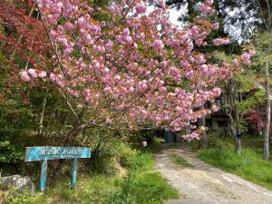 Ein Garten an der Unterkunft 貸別荘MUSIC FOREST by MFR