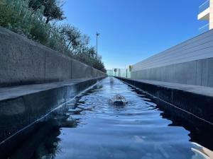 a pool of water next to a wall at Olympic Residence Deluxe Apartments in Limassol