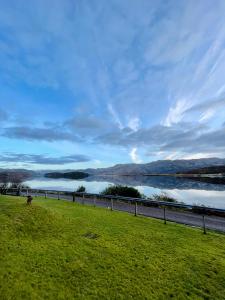 a dog walking on the grass near a body of water at Loch Morar Private Suite in Mallaig