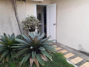Fotografie z fotogalerie ubytování GIO Guesthouse Bogor v destinaci Bogor