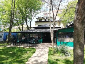 Zahrada ubytování Hotel Ponti