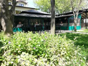 Zahrada ubytování Hotel Ponti