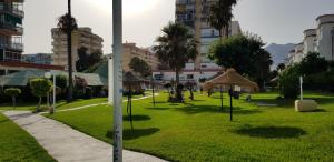 A garden outside Estudio Rocío
