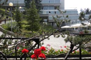 Fotografie z fotogalerie ubytování Hotel Solaria v destinaci Marilleva