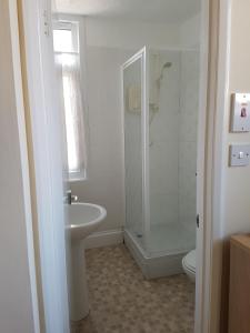 a bathroom with a shower and a sink and a toilet at Coombe Lodge Holiday Flats in Paignton