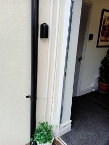Eine Pflanze in einem Topf neben einer Tür in der Unterkunft Contractor friendly from 'TOBS Norwich' in Norwich