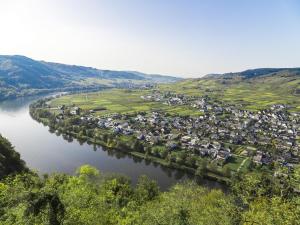 an aerial view of a town next to a river at Hotel Restaurant Sonnenlay in Kröv