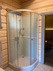 a shower in a room with a glass enclosure at Dūjas in Duķuri
