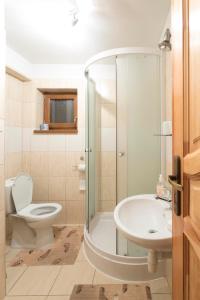 a bathroom with a shower and a toilet and a sink at Drevenica MAK Kristián in Kvačany