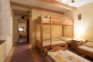 a bedroom with two bunk beds in a room at Drevenica MAK Kristián in Kvačany