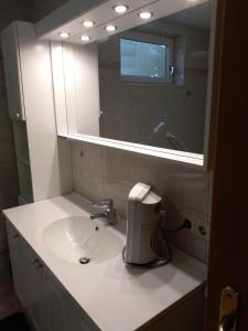 a bathroom with a sink and a mirror at Bergruhe in Sankt Ruprecht ob Murau