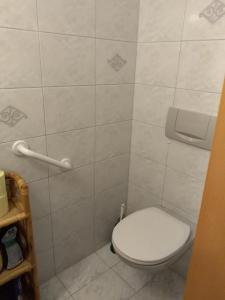 baño con aseo y dispensador de papel higiénico en Bergruhe en Sankt Ruprecht ob Murau