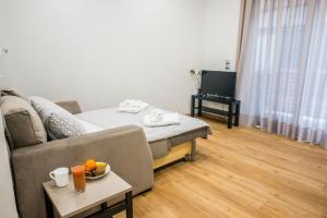 Posezení v ubytování Α26 Premium flat near Monastiraki square in Athens