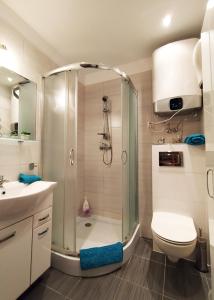 a bathroom with a shower and a toilet and a sink at Sunrise Blue Mare in Łukęcin