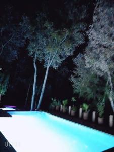 una piscina con alberi in sottofondo di notte di Dar Blues a Boumalne Dades