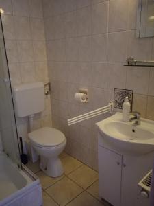 a bathroom with a toilet and a sink at Agria Wellness Guesthouse in Eger