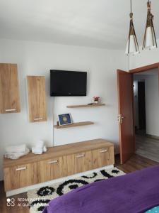 uma sala de estar com televisão na parede em Apartment Farmec em Cluj-Napoca