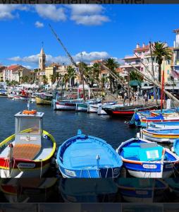 a group of boats are docked in a harbor at STUDIO RDJ TERRASSE PISCINE SANARY SUR MER in Sanary-sur-Mer