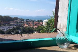 Táj Show holiday homes közelében