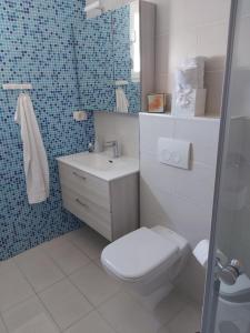 a bathroom with a toilet and a sink and a shower at Apartments 4you in Vir +37 photos