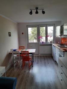 Kuchnia lub aneks kuchenny w obiekcie Kawalerka za Świeciem