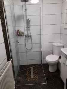 łazienka z prysznicem i toaletą w obiekcie Kawalerka za Świeciem w mieście Sartowice