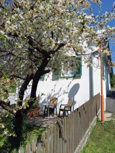 Vonkajšia záhrada v ubytovaní Ferienhaus im Thermenland (Loipersdorf, Blumau)