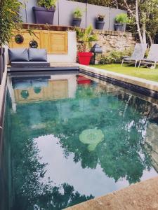 a swimming pool with green water in a backyard at La Maison Grivolas Appartements et Maison d'hôtes in Avignon