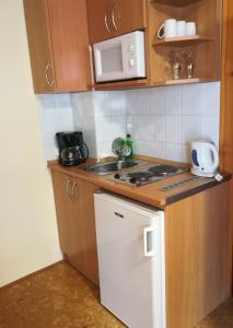 Kuchyň nebo kuchyňský kout v ubytování Apartman Mercédesz II.