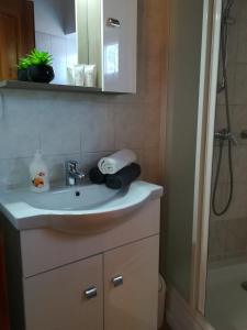 Koupelna v ubytování Apartman Mercédesz II.