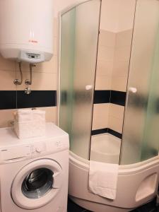 a bathroom with a washing machine and a shower at Apartment Mato in Barbariga +23 photos