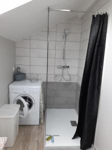 a bathroom with a shower and a washing machine at Gîte de la Pierre percée in Roôcourt-la-Côte