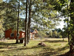 a red house in the middle of a field with trees at Cabañas Las Araucarias in San José de la Mariquina