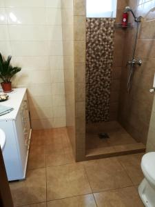 Kúpeľňa v ubytovaní Csaba apartman + 20 fotografií