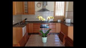 a kitchen with wooden cabinets and a potted plant at Can Ballet in Ibiza Town