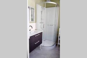 a bathroom with a shower and a sink at L'oasis : Appartement en centre ville in Abbeville