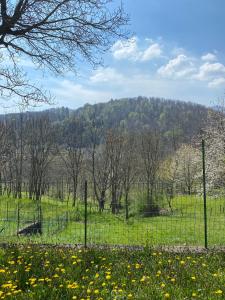 Príroda v okolí apartmánu