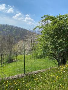 Príroda v okolí apartmánu