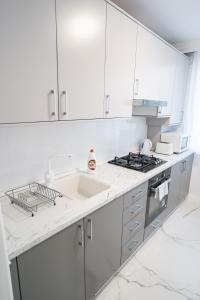 Virtuvė arba virtuvėlė apgyvendinimo įstaigoje Gabi Apartament