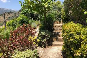Fotografie z fotogalerie ubytování Sky Garden Mallorca - Ca'n Tomeu v destinaci Bunyola