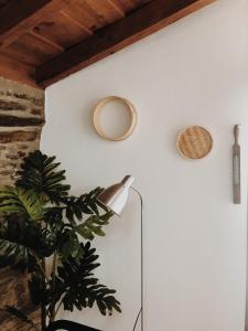 a white wall with a lamp and a plant at Casa do Douro in Alijó